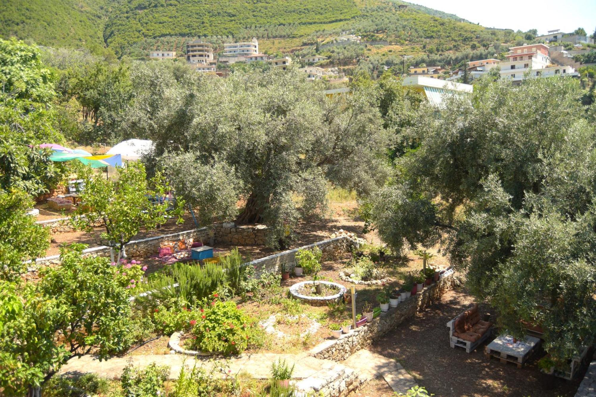 Vila Toskaj Vlorë Buitenkant foto